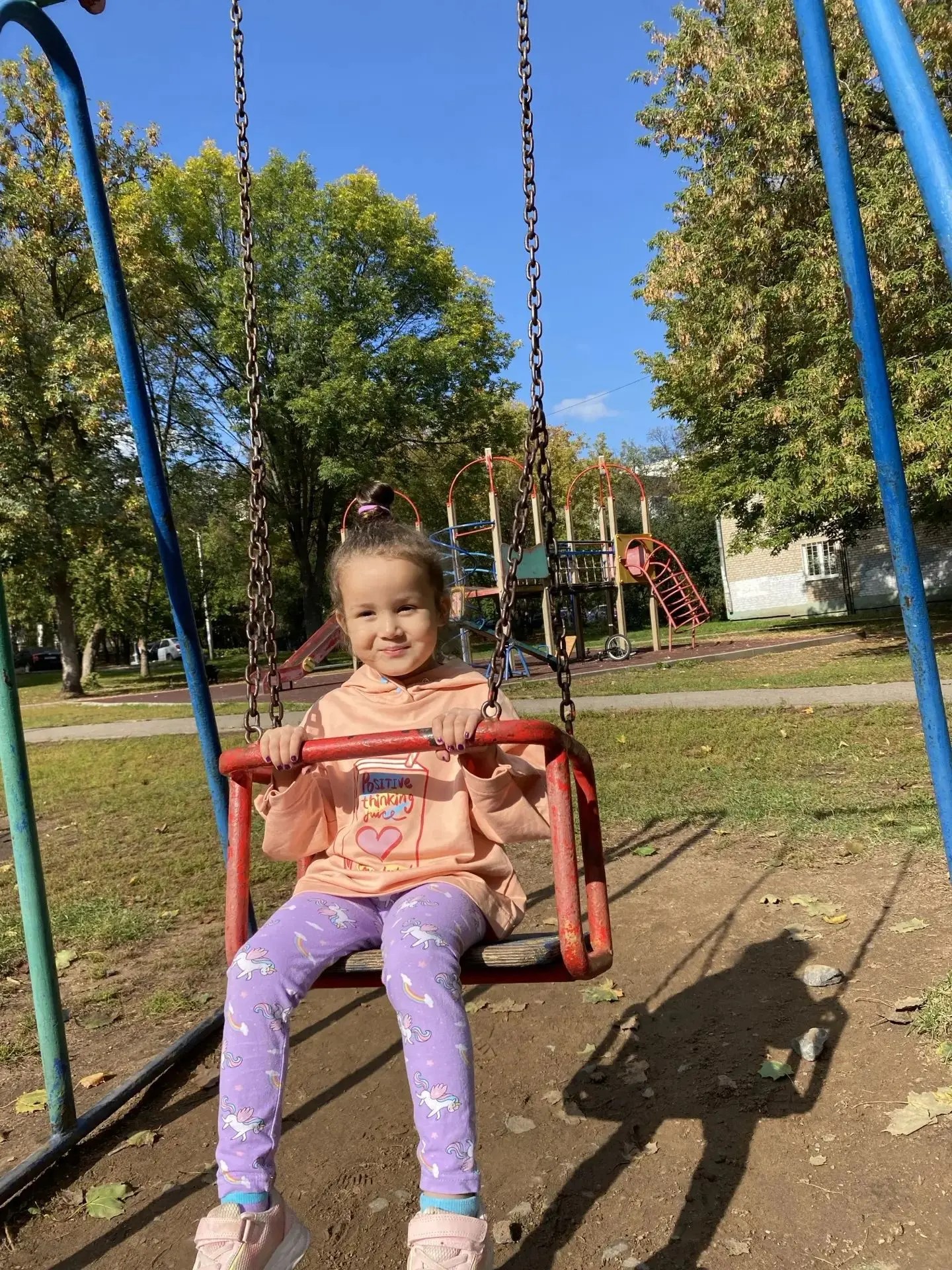 День качания на качелях