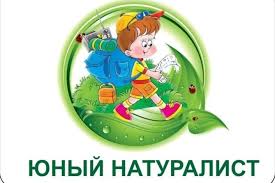 Юные натуралисты в деле!