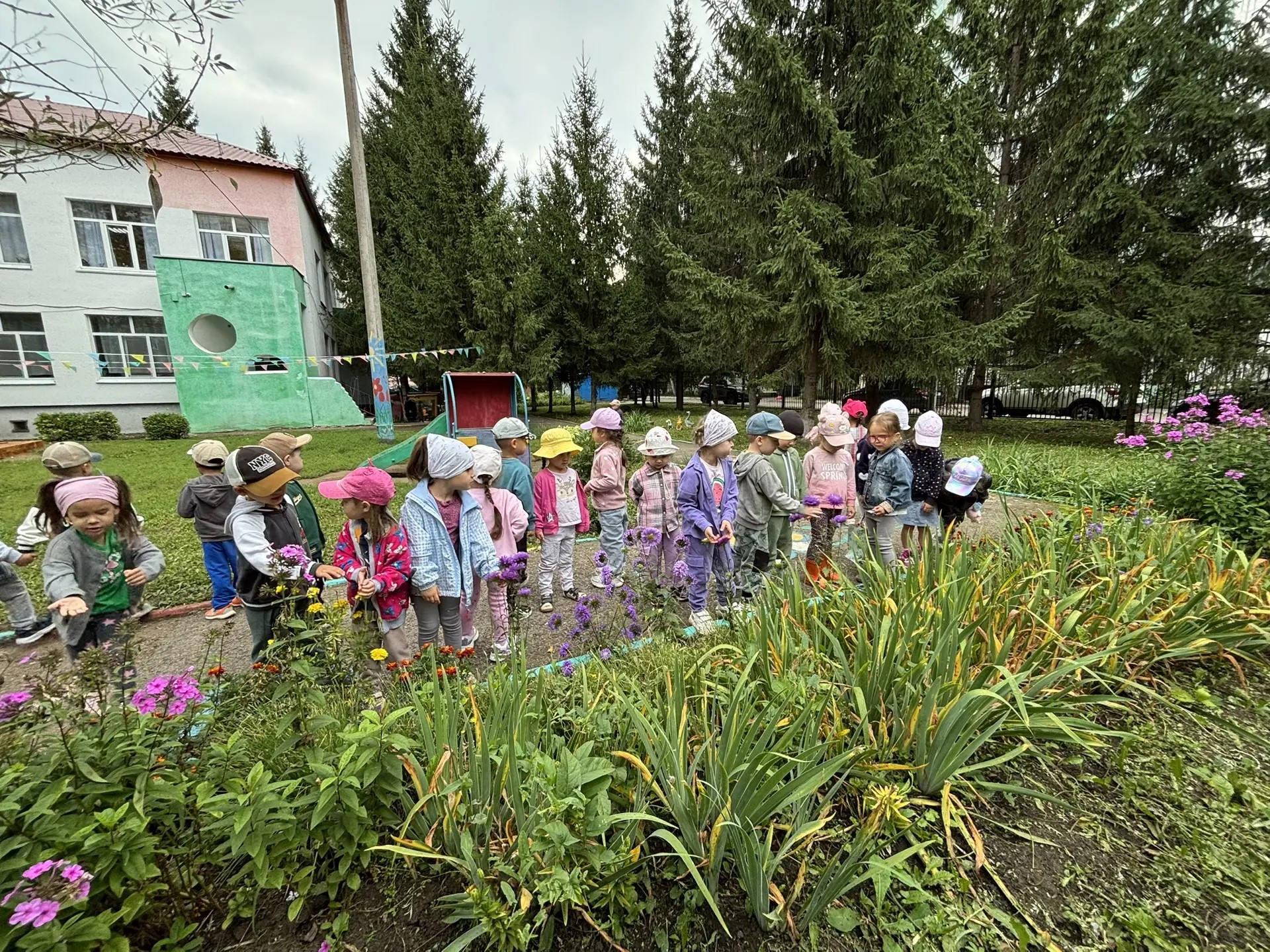 День астры в нашем детском саду!